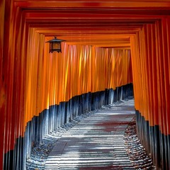 Enter the Temple