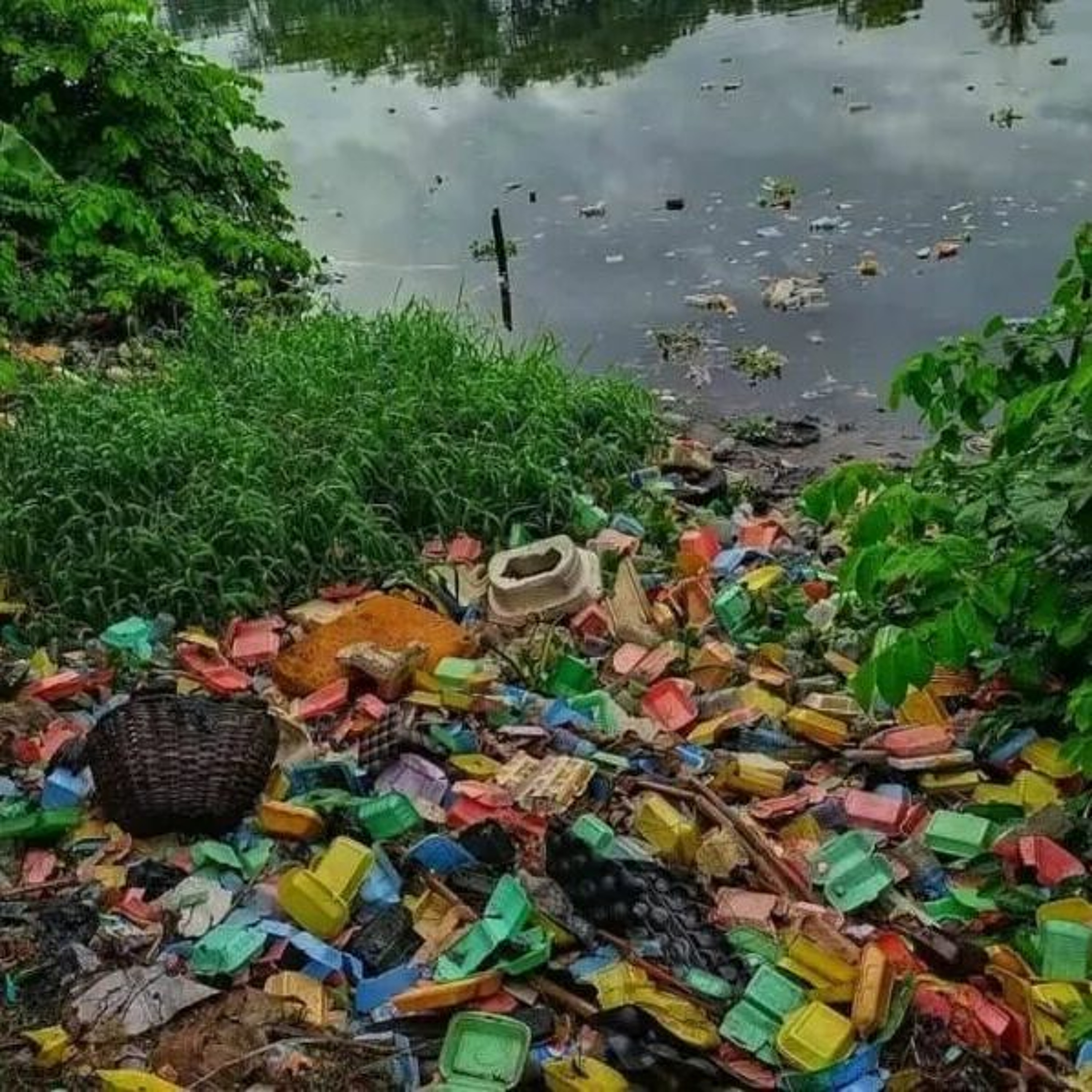 Nigeria: Lagos State bans single-use plastics to curb pollution episode artwork