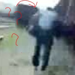 Otdai salo (korotki version)