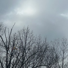 Tell Me (2025) - SINGLE TAKE