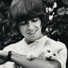 You Like Me Too Much - Beatles