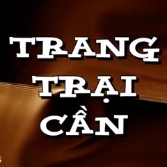 Trang trại cần - Tommy Tèo