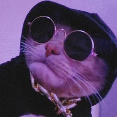 Ainsi Bas La Vida (REMIX by 𝑬𝑮𝒀𝑷𝑻𝑰𝑨𝑵 𝑹𝑨𝑷) slowed to perfection