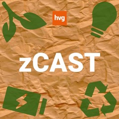 zCast: Hogyan működnek a jövőbiztos cégek?