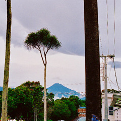 Taranaki