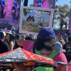 LOST LANDS HANGOVER mix (riddim with a side of wub)