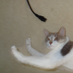 return [madness][limiter2.5]