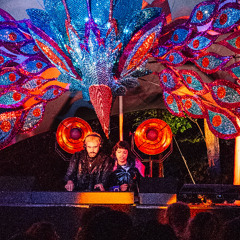 Bizzaro Universe @ Wasser mit Geschmack Festival 2025 - Closing Bunter Vogel Stage
