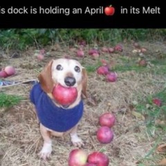 This dock is holding an April🍎 in its Melt