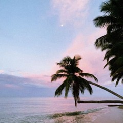 idwlf rmx mr.micro UNRELEASED