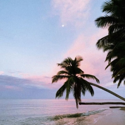 idwlf rmx mr.micro UNRELEASED