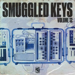 Smuggled Keys Vol. 12