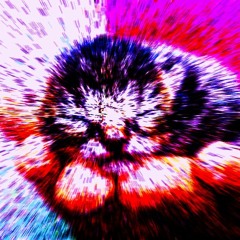 music that goes brrreeooggrbgrrrrbawiiuuikkkj
