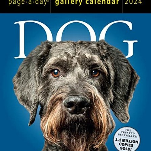 Stream Dog PageADay Gallery Calendar 2024, An Elegant Canine