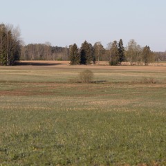 Spring morning soundscape in southern Estonia countryside