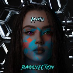 Merlin - Bassnection