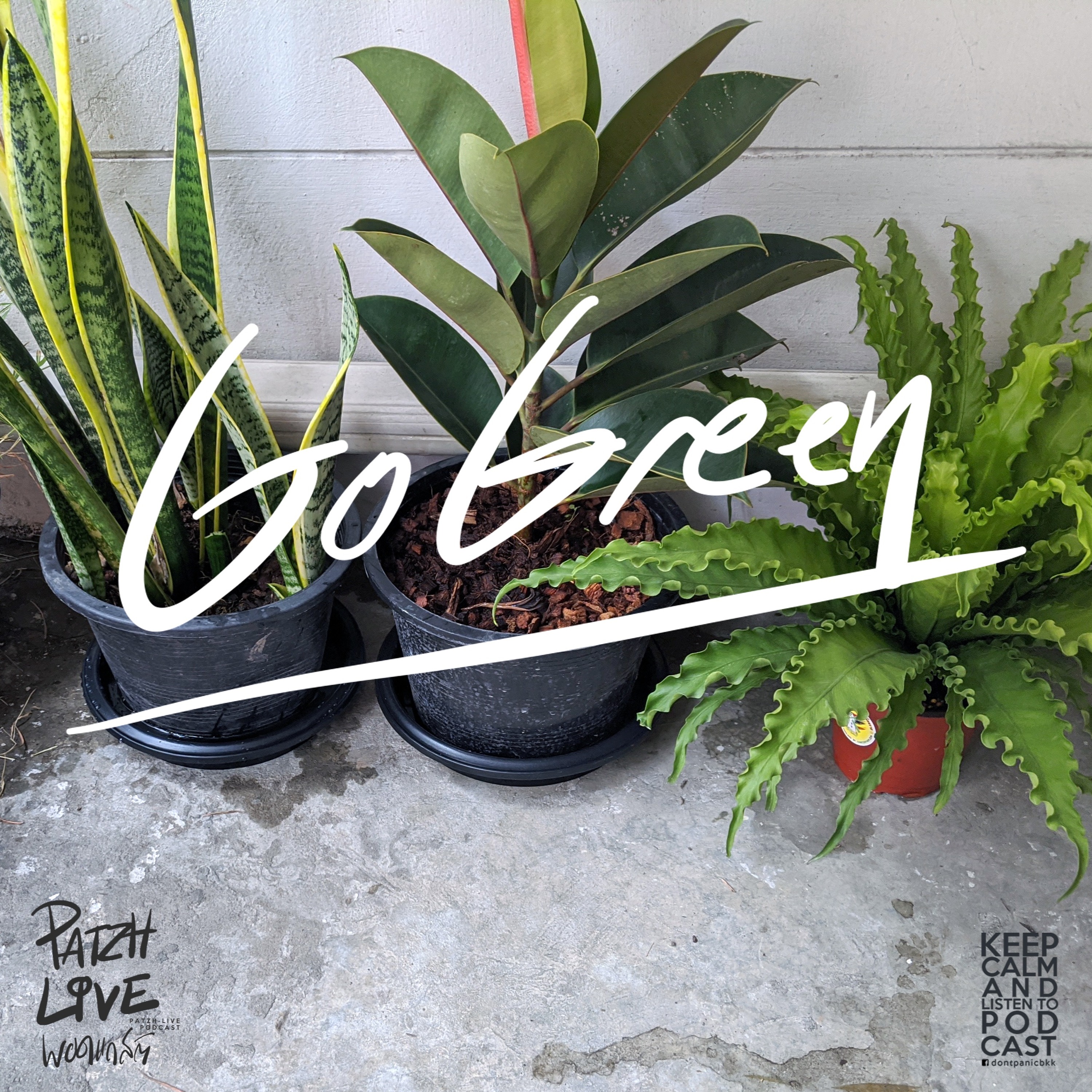 PATZH-LIVE podcast : ep02 : Go Green