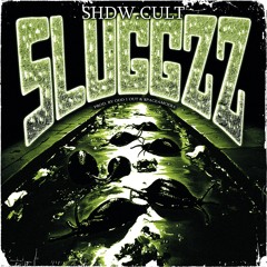 SLUGGZZ (PROD. BY ODD 1 OUT & $PACEAMOEBA)