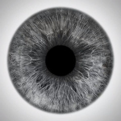 MADE IT OUT [vanquish]