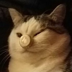 Tellement Bon (Stupeflip Cover)