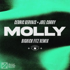 Cedric Gervais & Joel-Corry - MOLLY(BIGKICK FITZ Remix)