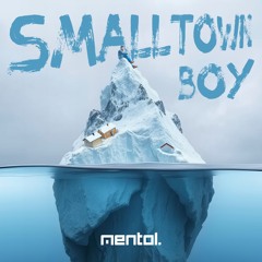 Smalltown Boy