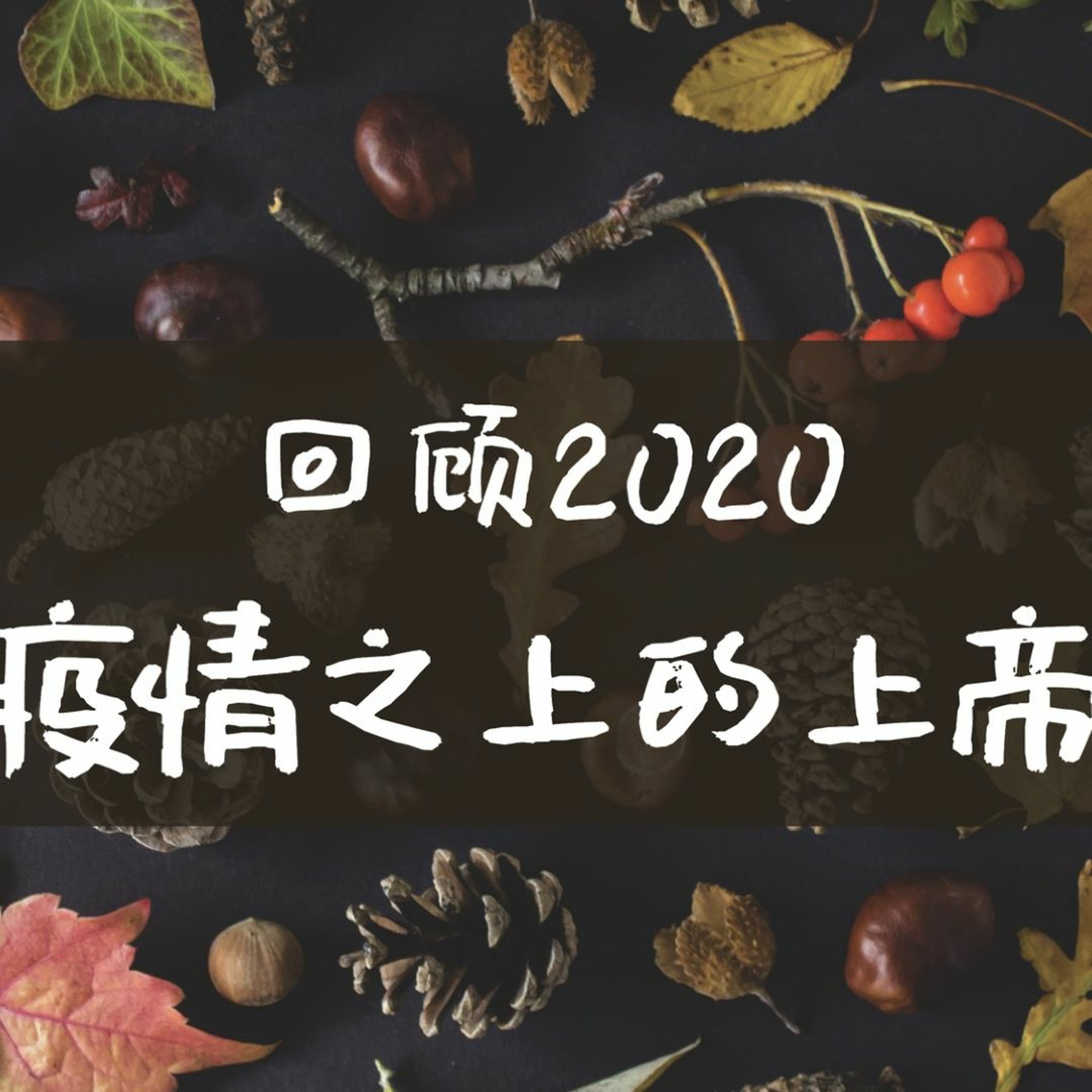 12/27/2020【回顾2020——疫情之上的上帝】认识上帝的护理——王唯权 牧师 episode artwork