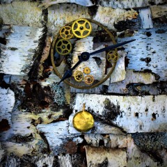 Erik Bashore - Equilibrium