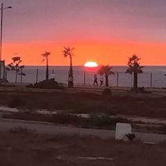 Cantina Bar Theme (From _Star Wars Episode IV_ A New Hope_).m4a