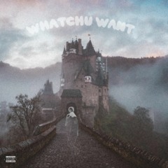 Lil Skies - Whatchu Want (Finer Things)