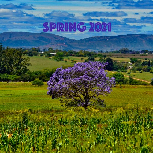 Spring 2021 (Organic / Afro / Progressive)