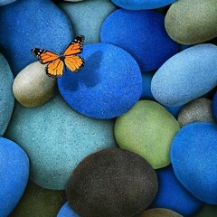 Zitmeditatie 16 minuten, vanaf sessie 4.