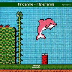 Arcanne - Fliperama [SEAL NETWORK🇩🇪]
