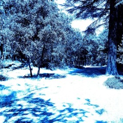 Paraphilia of the Promised Land