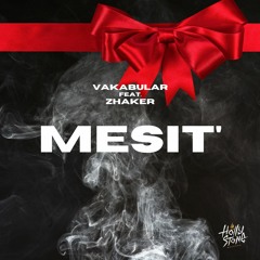 Vakabular feat. Zhaker - MESIT'