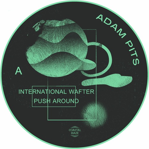 Adam Pits - Push Around