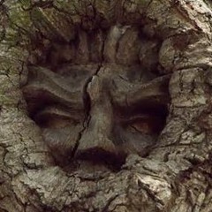 The Oak Man