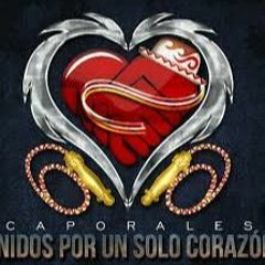 MIX UNIDOS DJMIXFLOSER 623025531