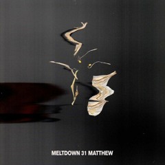 meltdown 31 - matthew