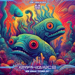 Amphibiacz - WahPopALoopOFF