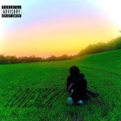 DistroKid Wheel of Playlist