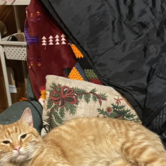 wishicouldchange (ft AN931)