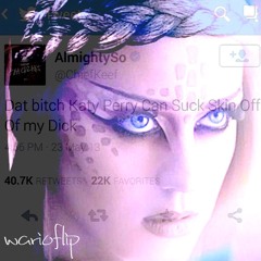 sosa x katy perry flip