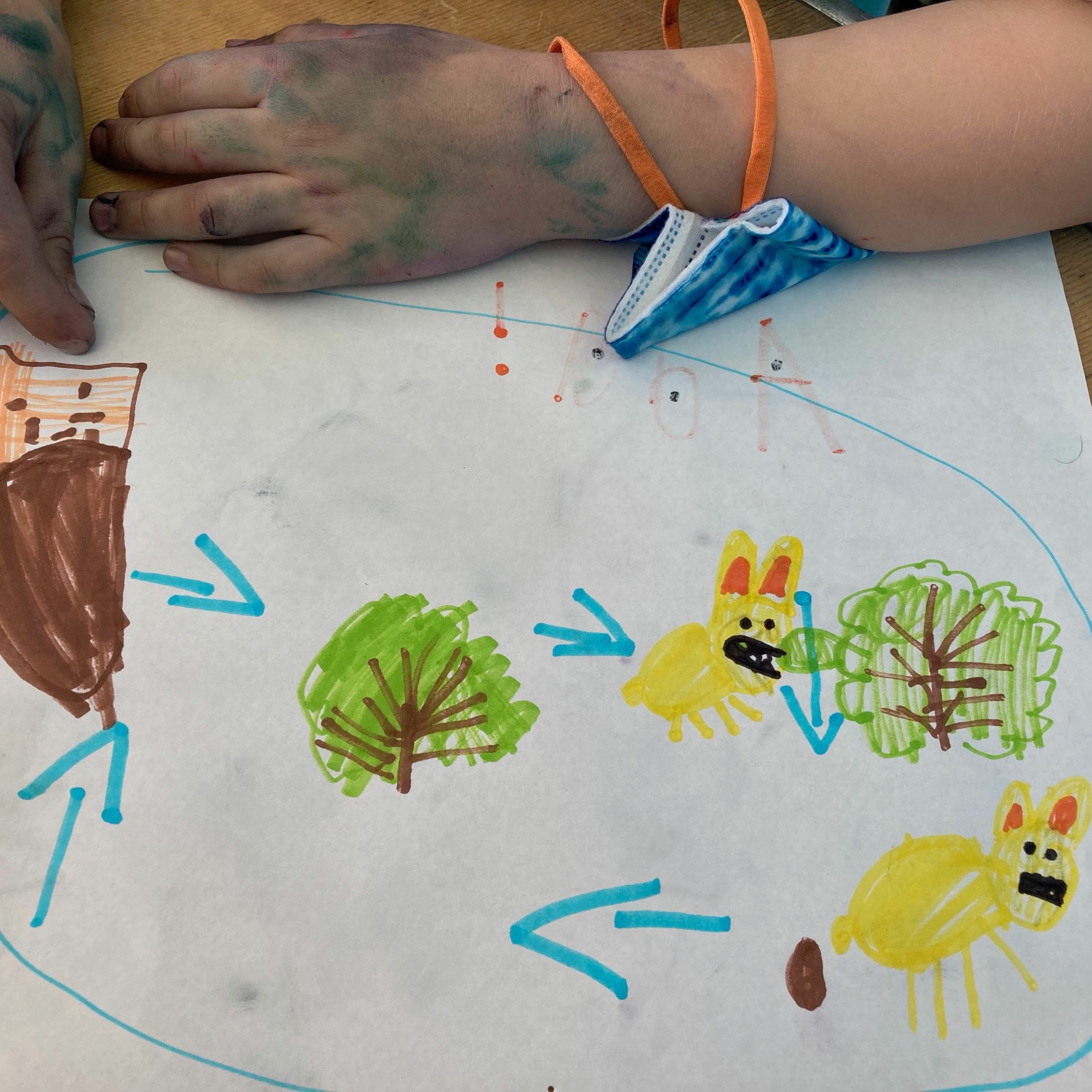 Seed Story Broadcasts