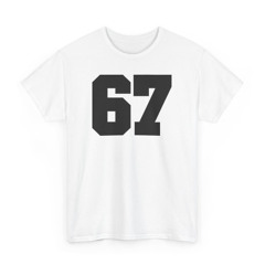 Aritzia 67 Shirt