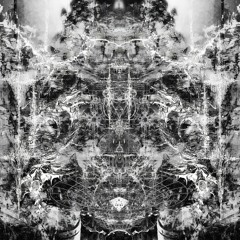 MARKWØN - FRACTUM ANIMA | [SXPS008]