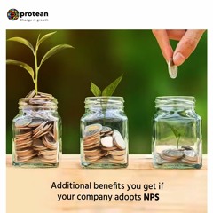 S 0.1 . Additional Benefits You Get If Your Company Adopts NPS