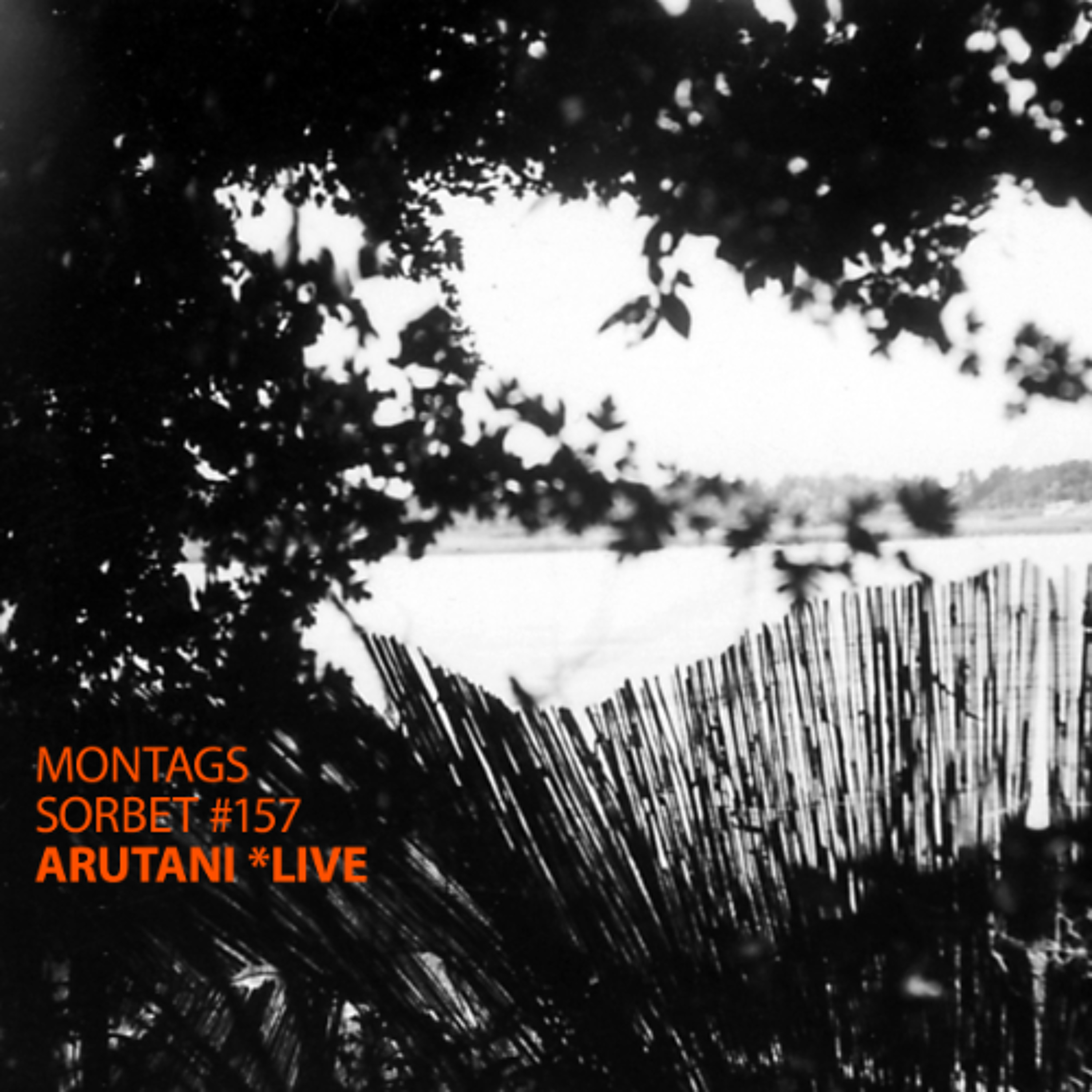 #157: Arutani *live - Montagssorbet mit Laut & Luise episode artwork