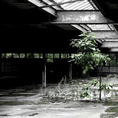 6 pieces - Carteron Charbonnier (extracts)