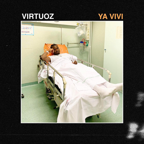 VIRTUOZ - Arche De Noe